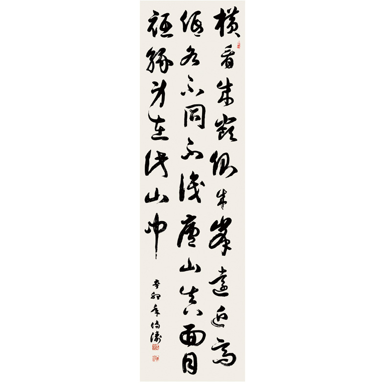 鷨